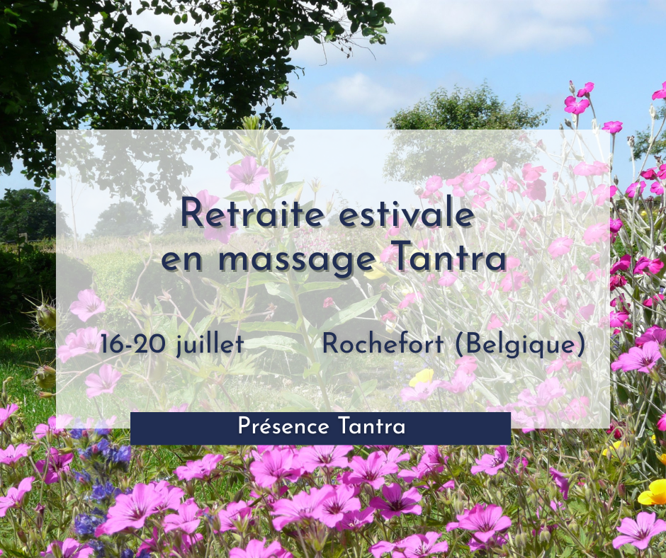 Lire la suite à propos de l’article Retraite estivale