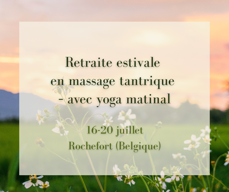 Lire la suite à propos de l’article Retraite estivale