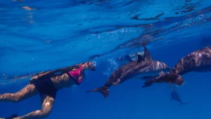 Lire la suite à propos de l’article Sensualité océanique – Plongez dans la présence